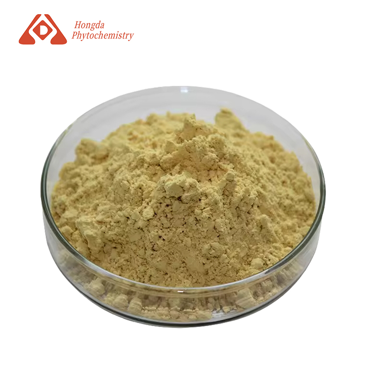 Chitosan Oligosaccharide Powder